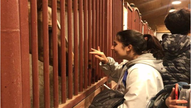 微信图片_20190604103803